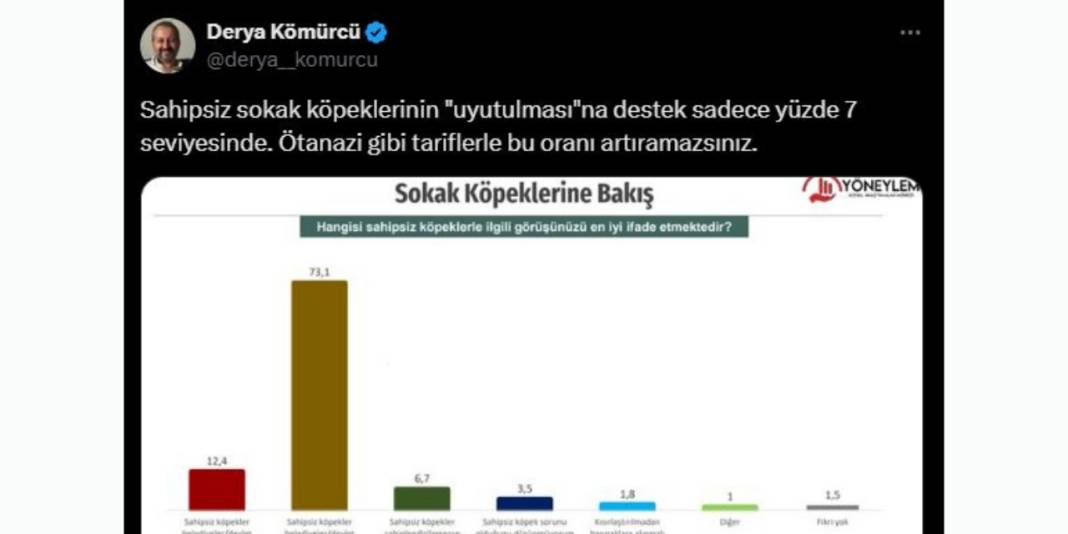 Yöneylem araştırma sordu: Sokak köpekleri uyutulmalı mı? 8